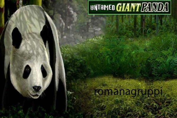 Slot Untamed Giant Panda