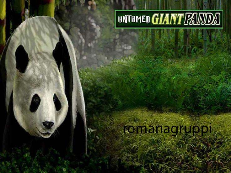 Slot Untamed Giant Panda